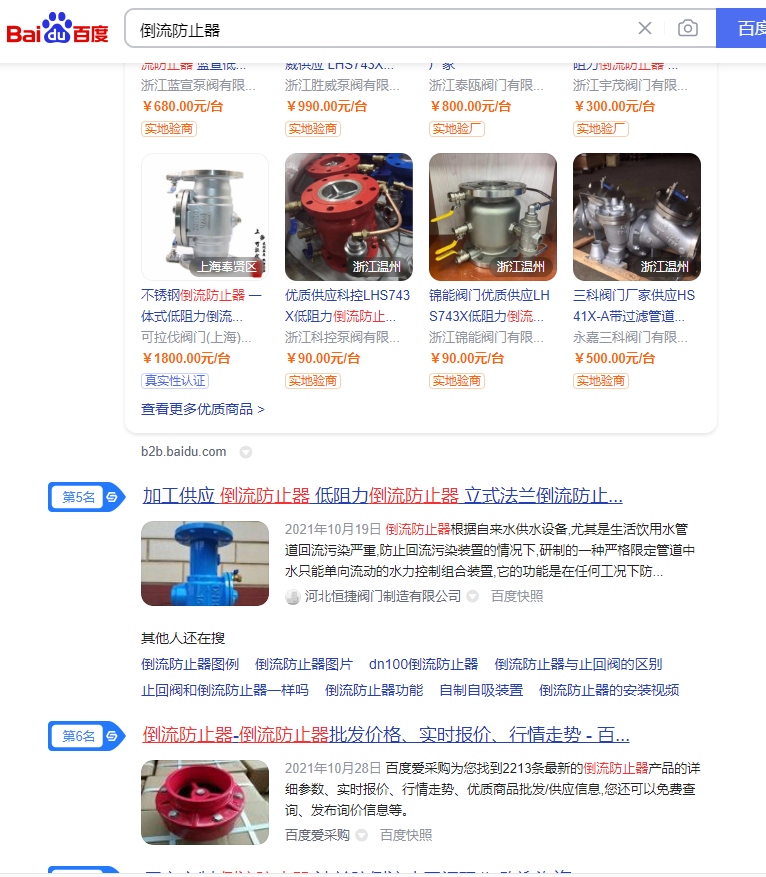 专业阀门行业网站推广:“倒流防止器”网站